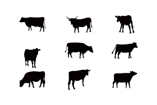 cow silhouette icon vector set for logo
