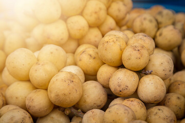 Longkong Thai fruit is on the market.