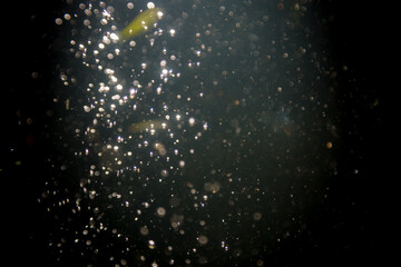 Abstract elegant glitter sparkle bokeh defocused on black background