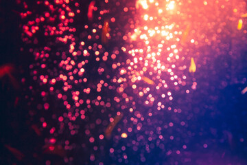 Red light glowing defocused holiday blurr bokeh in black backgeound