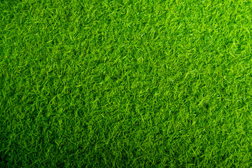 Obraz premium Green artificial grass natural background