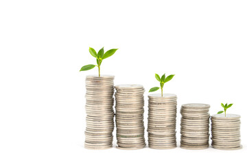 Coins placed as gradients from low to high