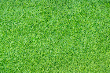 Fototapeta premium Green artificial grass natural background
