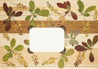 Naklejka na ściany i meble Page from an old photo album. Flowers barberry. Scrapbooking element decorated with leaves, flowers and petals flowers. For cards, invitations und congratulations. Use in scrapbooking, greetings