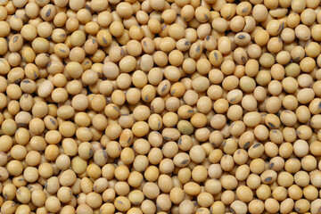 Fresh seed soybean background.