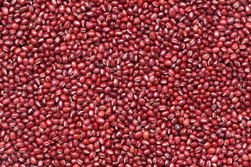 Fresh small seed of red beans background.