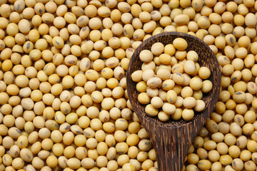 Fresh seed soybean in wooden spoon.