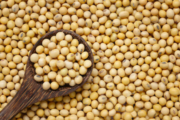 Fresh seed soybean in wooden spoon.