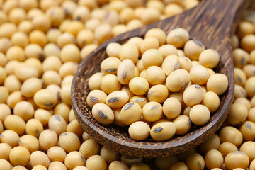 Fresh seed soybean in wooden spoon.