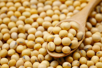 Fresh seed soybean in wooden spoon.
