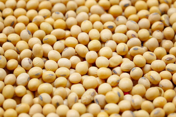 Fresh seed soybean background of Center focus.