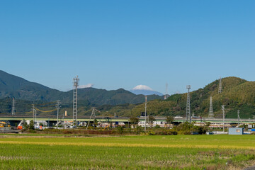Fototapeta na wymiar 晴れた秋空　雪の富士山　稲刈り後の田んぼ風景　静岡市