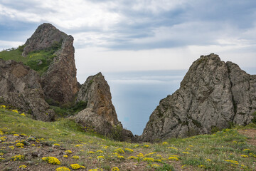 Mountain slope with yellow flowers descending between the mountain tops to the sea blurred by clouds