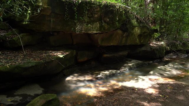 Creek runs in a rain forest under a big rock with a sun reflection on it's wall.