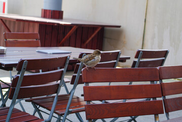 Obraz premium Discovering the city and the museums of Berlin, a reconstructed city.