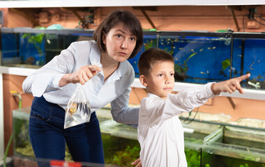Obraz premium Cheerful woman with preteen son looking for aquarium fishes for in pet store..