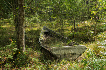 Discarded wooden boat overgrown with grass in forest