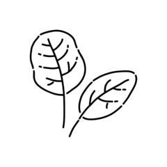 illustration of a spinach leaf outline icon vector