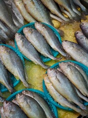 신선한 바다 해산물 조기, 생선
