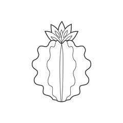 Outline cactus and succulent plant vector illustration. Decorative isolated icon. Cartoon style doodle.