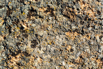 Old rough stone wall texture with brown and green lichen and moss growing on surface.