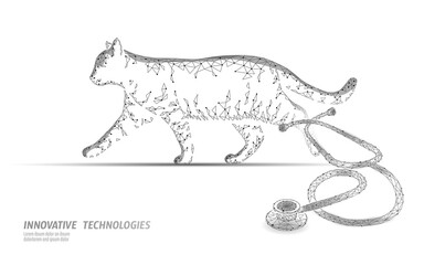 Cat silhouette veterinary clinic banner template. Analysis stethoscope virus infection. Vet care medical help. Vet hospital doctor online logo vector illustration