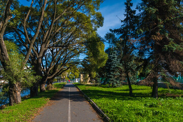 A bike path in a beautiful green summer park.