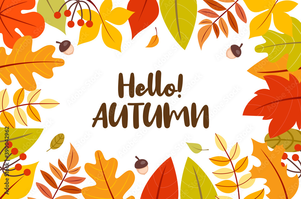 Wall mural hello! autumn frame background vector illustration. fall foliage leaves frame border design on white