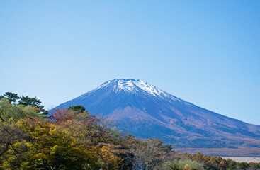 Fototapeta premium 紅葉と山中湖を介して眺め見る富士山の姿、凛として美しい