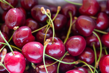 Kaiserkirschen Kirschen rot Nahaufnahme mit Wassertropfen 