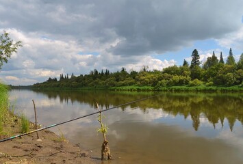 река, лес, цветы, небо, картина, Ель, красота, картина, трава, облака, отражение, рыбалка, удочка
