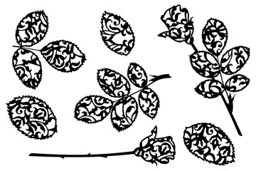 Rose flower and leaves silhouettes with ornament. Basis graphics for paper cut on white background