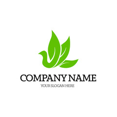 nature green leaf bird logo concept vector illustration