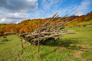 Group of wooden racks for hay-drying stacked in the field. Autumn in the countryside