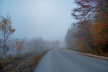 Fototapeta na wymiar Highway in the fog. Autumn landscape with a road leaving in fog