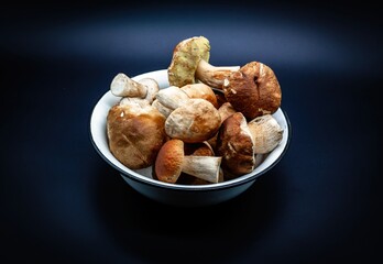 Beautiful fresh porcini mushrooms  in metal basin on dark background isolated season healthy food 