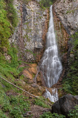 small waterfall among the forest