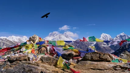 Foto auf Acrylglas Makalu Spektakulärer Panoramablick auf das Mount Everest-Massiv vom Renjo La Pass, Himalaya, Nepal mit buddhistischen Gebetsfahnen, die im Wind fliegen, und einem Vogel mit schwarzen Federn und ausgebreiteten Flügeln.