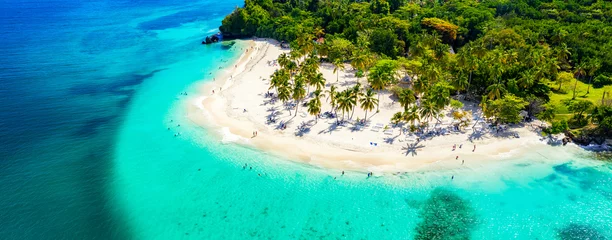 Fotobehang Vacation background. Travel concept. Aerial drone view of beautiful caribbean tropical island with palms and turquoise water. Banner wide format © Nikolay N. Antonov
