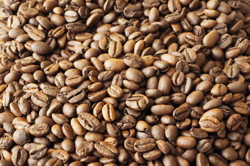 たくさんのコーヒー豆