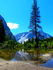 Naklejka premium North America, United States, California, Yosemite National Park, Mirror lake