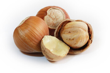  Hazelnuts isolated on white background.  Studio shot.