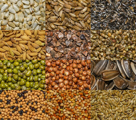 Naklejka premium various feed seeds in detail