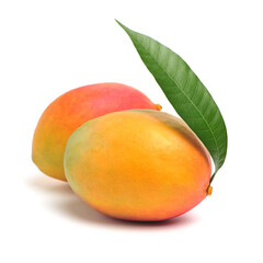 mangos on a white background