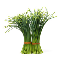 a bunch of flowering chinese garlic chives on the white background