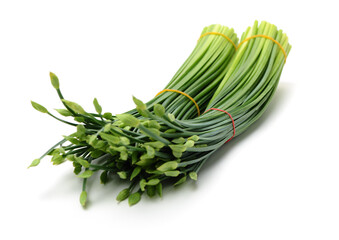 a bunch of flowering chinese garlic chives on the white background