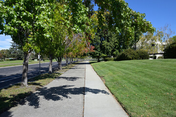 アメリカの計画住宅地：レッドウッド・ショアーズの街並み