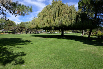 アメリカの計画住宅地：レッドウッド・ショアーズの街並み