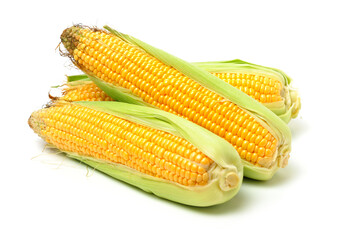 corn on the cob