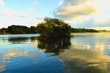The beautiful Danish flowers and landscapes of the forests and country side of Jylland (Jutland) in Denmark